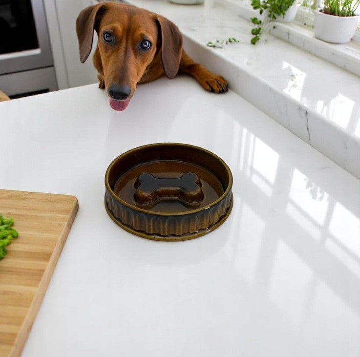 GAMELLE CHIEN BROWN