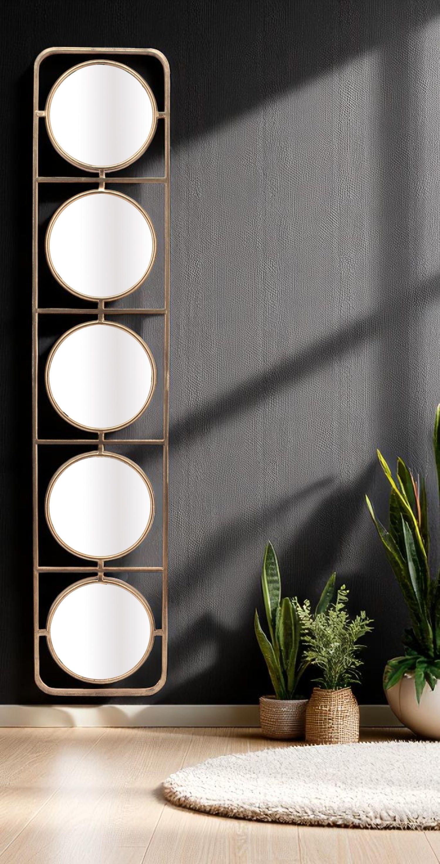 Miroir ECHELLE 5M H116x24 cm