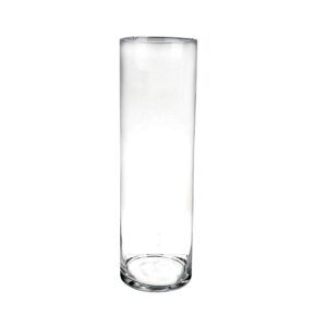 Vase en verre transparent 15x50 cm