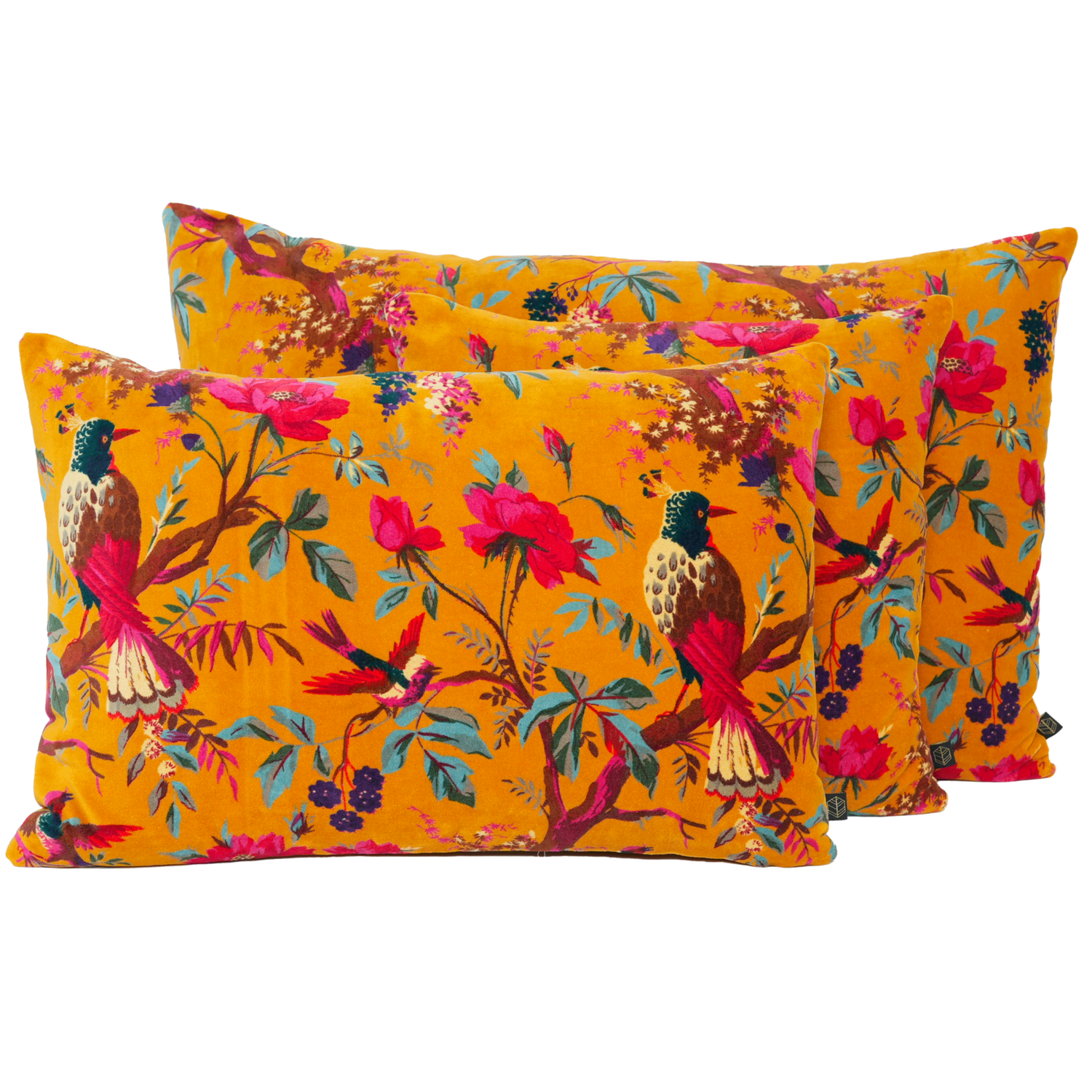 Housse de coussin BIRDY CHAMOIS 45X45cm