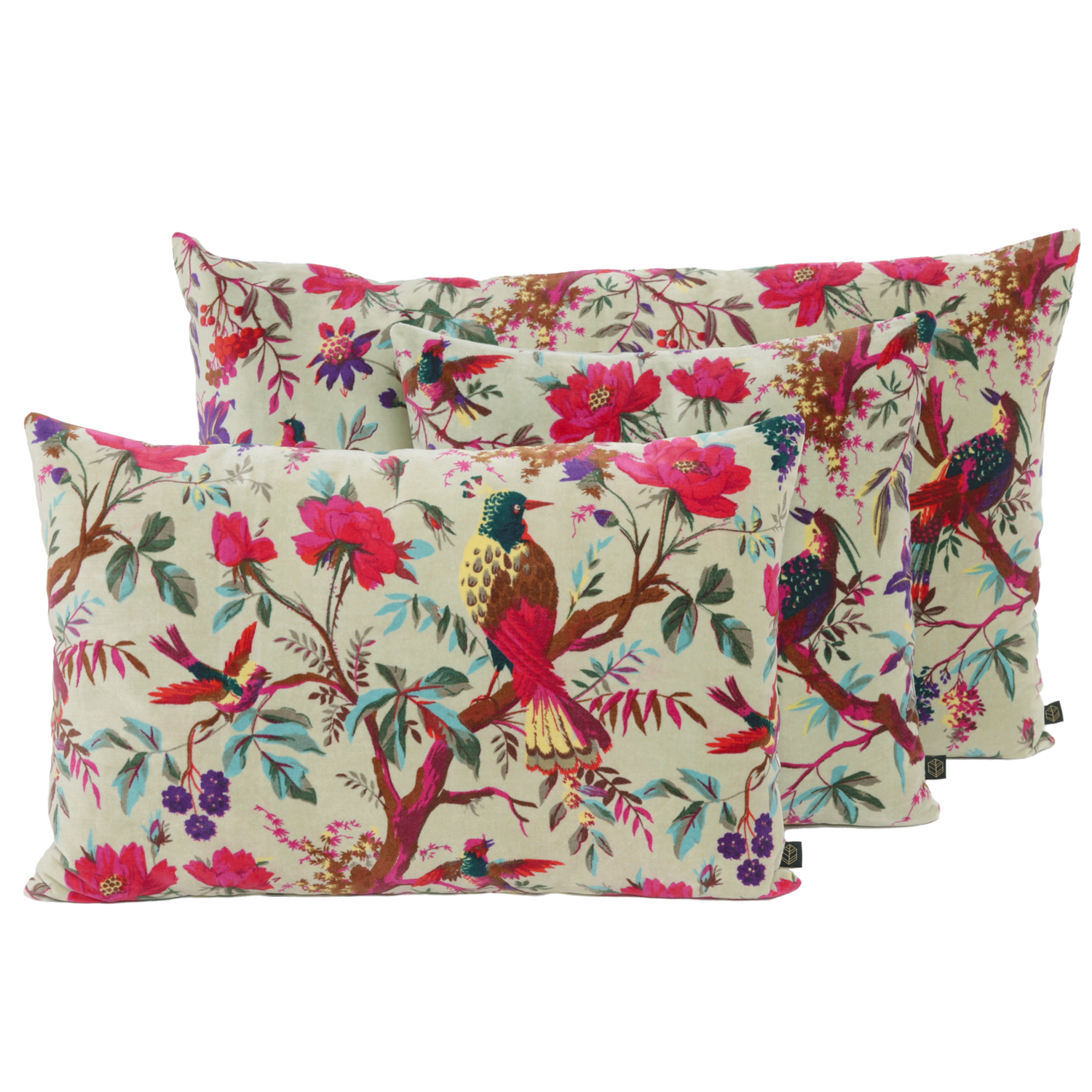 Housse de coussin BIRDY CELADON 40X60cm