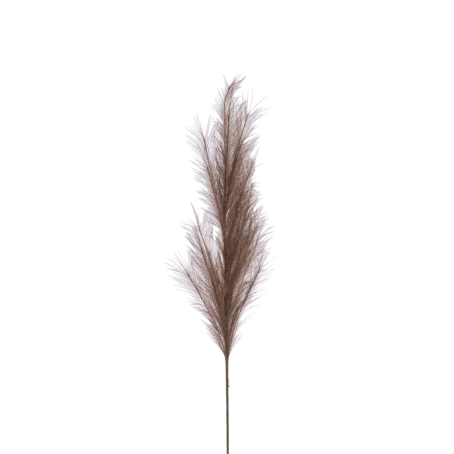 Branche Plume Plastique Brun Foncé 18x6xH135 cm