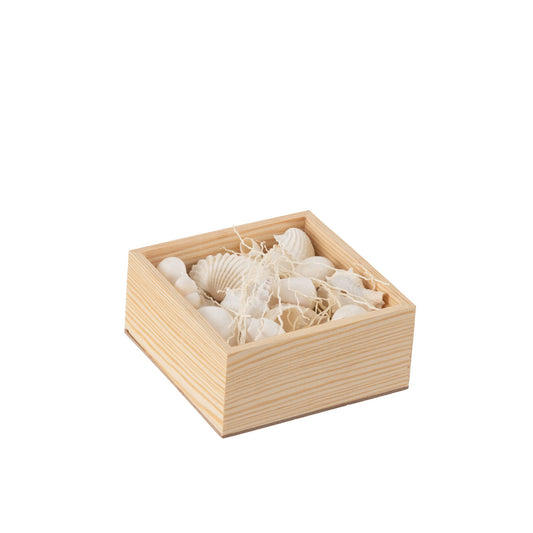 Boîte Carré COQUILLAGES Blanc 12x12xH6 cm