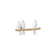 2 OISEAUX SUR BRANCHE 12.5x5xH15 cm