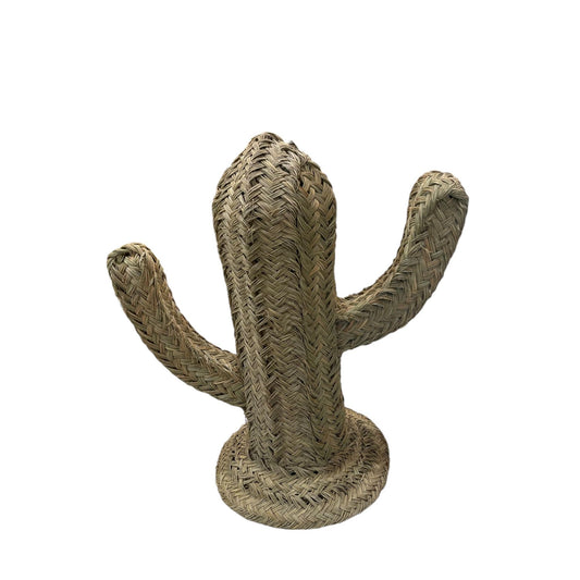 CACTUS VEGETAL H60cm