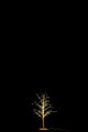 Arbre LED Métal Blanc S Ø20xH57 cm