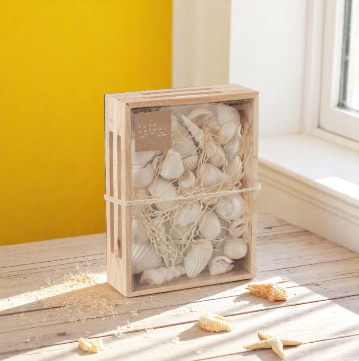 Boîte Carré COQUILLAGES Blanc 20x15xH6 cm