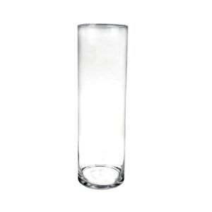 Vase en verre transparent 15x50 cm