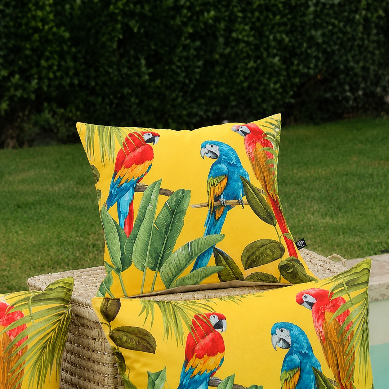 Coussin ARAS Soleil 40x60cm