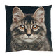 Coussin tête chat fond noir 45x45cm