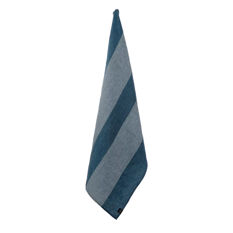 SANTA CRUZ TOR BLEU DE PRUSSE 48X70