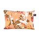 BOLOGNE TRO IVOIRE 19X29