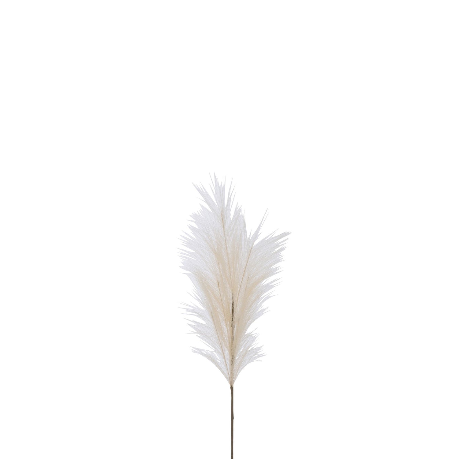 Branche Plumeau Plastique Beige S 13x4xH70 cm