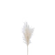 Branche Plumeau Plastique Beige S 13x4xH70 cm