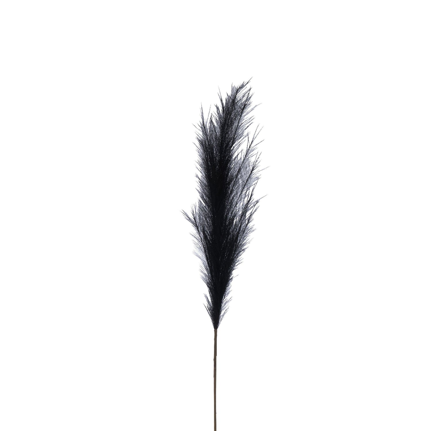 Branche Plumeau Plastique Noire M 18x6xH135 cm