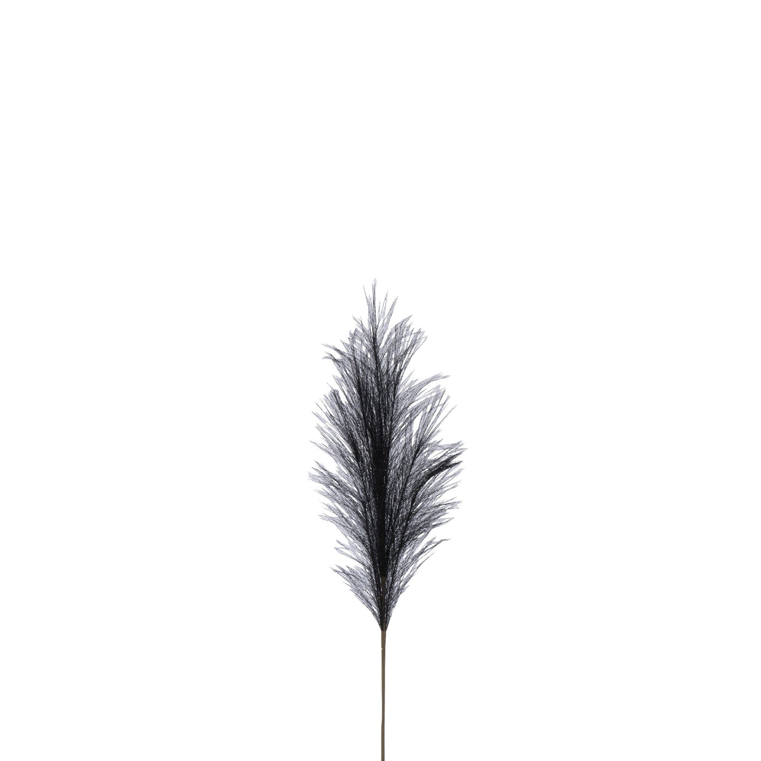 Branche Plumeau Plastique Noire S 13x4xH70 cm